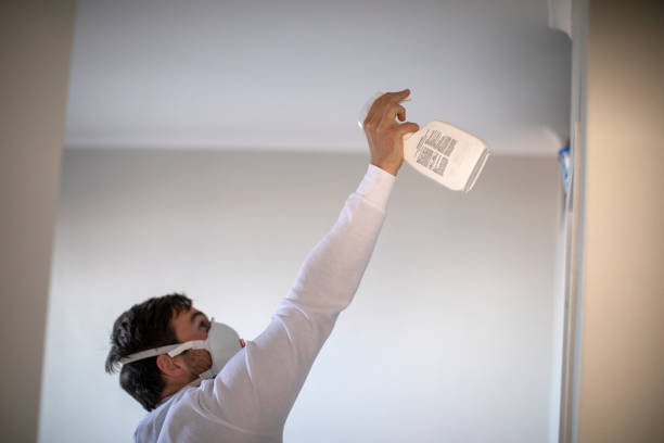 Best Mold Removal Near Me  in Menlo Park Terrace, NJ