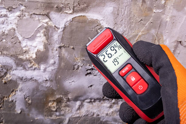 Best Mold Testing  in Menlo Park Terrace, NJ