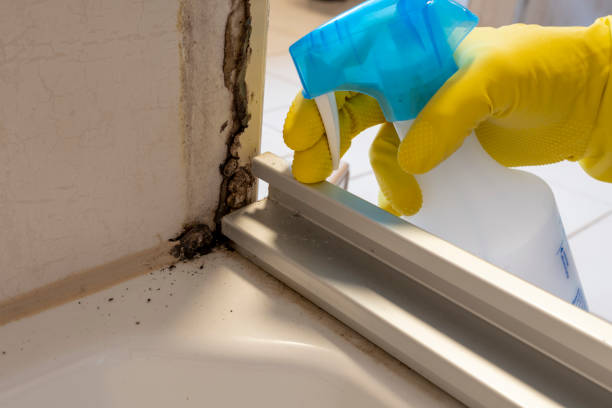Best Residential Mold Removal  in Menlo Park Terrace, NJ