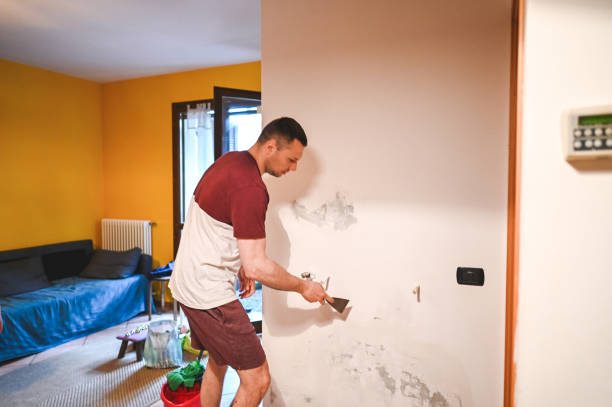 Best Mold Removal Company Near Me  in Menlo Park Terrace, NJ